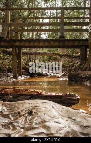 Annidato vicino alle maestose scogliere di Licu-Langu in Lettonia, un pittoresco ponte attraversa il dolce corso del fiume, invitando un tranquillo passaggio tra la natura Foto Stock