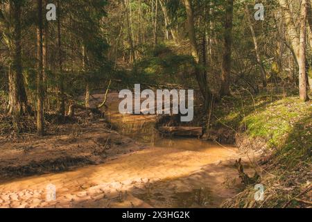 Un tranquillo fiume si snoda attraverso la lussureggiante foresta vicino alle scogliere di Licu-Langu in Lettonia, il suo dolce flusso riecheggia la pacifica armonia dell'abbraccio della natura Foto Stock