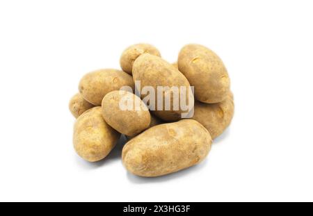 Un mucchio di tuberi di patate dell'Idaho freschi dal terreno non lavati, ancora sporchi e isolati su fondo bianco Foto Stock