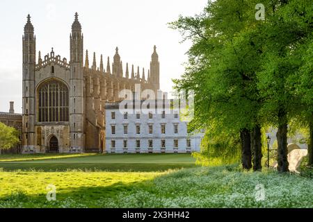 il collegio del re di cambridge alla luce della sera Foto Stock