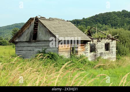Vecchia casa di famiglia in legno abbandonata d'epoca con tetto distrutto e finestre rotte circondata da vegetazione sovrastata e erba alta non tagliata Foto Stock