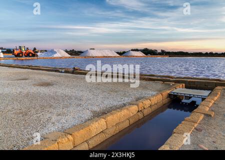 Paceco, Italia - 3 gennaio 2024: Caricatore frontale e pile di sale marino nella salina di Trapani e Paceco al tramonto Foto Stock