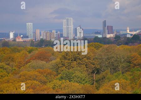 Affacciato sul bosco in direzione del centro di Leeds Foto Stock