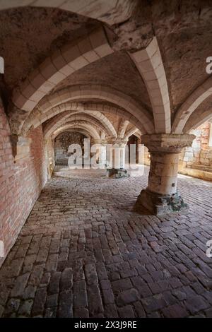 Antica cantina a volta in mattoni con colonne e archi robusti, dettagli architettonici storici Foto Stock