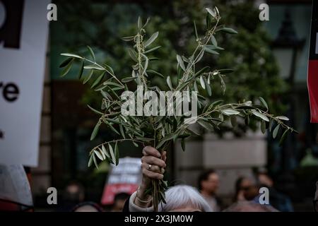 Londra, Regno Unito. 27 aprile 2024. Una protesta di massa pro-Palestina, che chiede un cessate il fuoco ora e di smettere di armare Israele marcia attraverso Waterloo Place. Partendo dalla piazza del Parlamento verso Hyde Park, i manifestanti, a migliaia di persone, continuano a rispondere all'assalto israeliano a Gaza. Crediti: Guy Corbishley/Alamy Live News Foto Stock