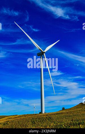 Turbine eoliche nella prateria del North Dakota che producono energia elettrica pulita rinnovabile. Foto Stock