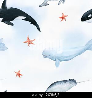 Motivo di acquerello senza cuciture con illustrazione di animali marini artici, balene assassine, balene bianche su sfondo astratto blu e bianco. Per Foto Stock