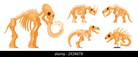 Set di scheletri di dinosauro. Raccolta di scheletri di dinosauri, mammut, sabertooth, Ichthyostegalidae, rinoceronti e Trex, fossili, vista laterale Illustrazione Vettoriale