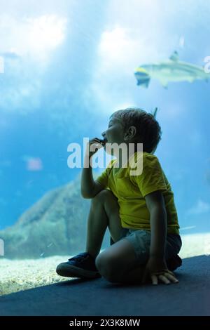 Un bambino è seduto sul pavimento di fronte ad un acquario nell'oceanario Foto Stock