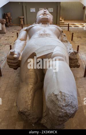 Il colosso calcareo di Ramses II al museo all'aperto di Memphis, Egitto Foto Stock