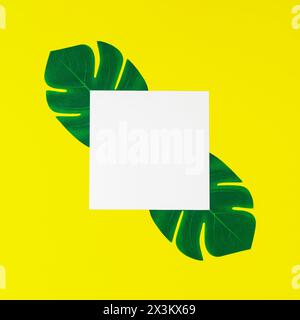 Layout creativo realizzato con foglie tropicali verdi e spazio per la copia delle note su carta su sfondo giallo. Concetto estivo minimalista. L'appartamento naturale si trovava. Foto Stock