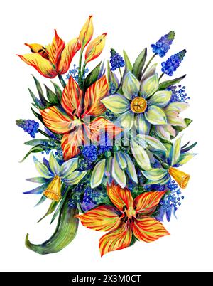 bouquet di fiori primaverili disegnati in narcisi acquerelli, tulipani, musari per carte e stampe Foto Stock