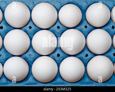 Deporre in piano la vista ravvicinata delle uova di pollo in una scatola di carta blu. Foto Stock