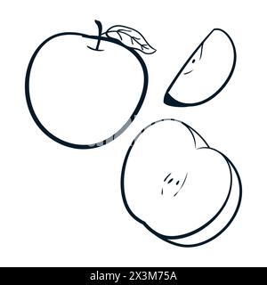 Set da disegno Apple Fruit icone Vector Apple Scribbles Doodle. Apple Vector Illustrazione Vettoriale