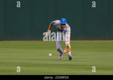 27 aprile 2024: L'esterno dei Gators Michael Robertson n. 11 viene colpito da una palla da terra. La Florida sconfisse l'Arkansas 9-5 a Fayetteville, AR. Richey Miller/CSM Foto Stock