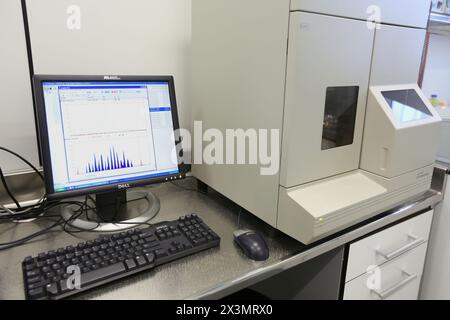 Estrazione di DNA da biopsie tumorali polmonari per lo studio di mutazione genica EGFR per un possibile trattamento con anti-EGFR, Sequencer, Anatomic Pathology, Onkologi Foto Stock