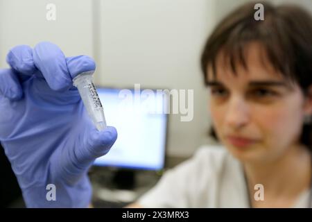 Estrazione di DNA da biopsie tumorali polmonari per lo studio di mutazione genica EGFR per un possibile trattamento con anti-EGFR, Sequencer, Anatomic Pathology, Onkologi Foto Stock