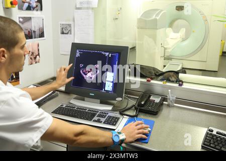 PET-CT Siemens Biograph, apparato combinato per tomografia a emissione di positroni tomografia computerizzata a raggi X e PET TC, medicina nucleare, Onkologikoa Hospi Foto Stock