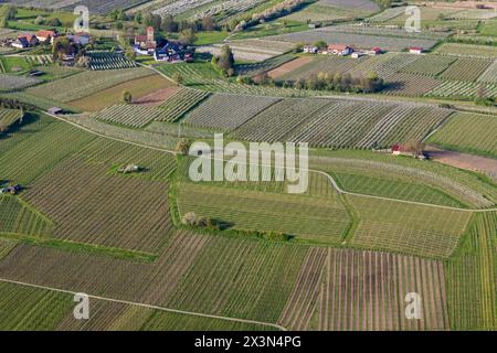 Flug im Zeppelin über den Bodensee bei Hagnau. // 14.04.2024: Volo Hagnau, Baden-Württemberg, Deutschland, Europa *** Zeppelin sul lago di Costanza Foto Stock