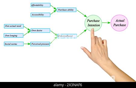 Cosa spinge il cliente ad acquistare Foto Stock