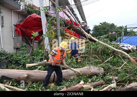 (240428) -- GUANGZHOU, 28 aprile 2024 (Xinhua) -- le persone rimuovono gli alberi caduti dopo un tornado nel villaggio di Chendong della città di Zhongluotan del distretto di Baiyun, Guangzhou, provincia del Guangdong della Cina meridionale, 28 aprile 2024. Cinque persone sono state uccise e altre 33 ferite da un forte tornado che ha colpito Guangzhou, la capitale della provincia del Guangdong della Cina meridionale, sabato pomeriggio, hanno detto le autorità locali. Il tornado ha colpito Zhongluotan Town nel quartiere Baiyun della città intorno alle 15:00, mentre la stazione meteorologica nel villaggio di Liangtian, a circa 2,8 chilometri dal punto di ritrovo del tornado, r Foto Stock