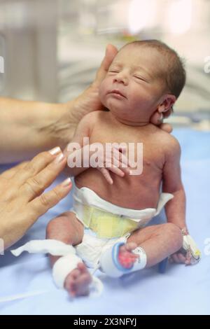 Neonatale, neonato unità di cura intensiva, Donostia Ospedale San Sebastian, Donostia, Gipuzkoa, Paesi Baschi Foto Stock