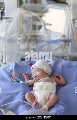 Neonatale, neonato unità di cura intensiva, Donostia Ospedale San Sebastian, Donostia, Gipuzkoa, Paesi Baschi Foto Stock