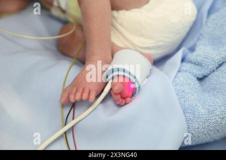 Neonatale, neonato unità di cura intensiva, Donostia Ospedale San Sebastian, Donostia, Gipuzkoa, Paesi Baschi Foto Stock
