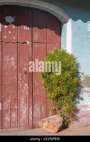 Le piante in vaso risalgono davanti alle case color pastello nelle strade secondarie della città Vecchia, Trinidad, Cuba. Foto Stock