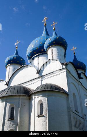 Cattedrale della Natività (1222), Cremlino, sito patrimonio dell'umanità dell'UNESCO, Suzdal, Oblast' di Vladimir, Russia Foto Stock