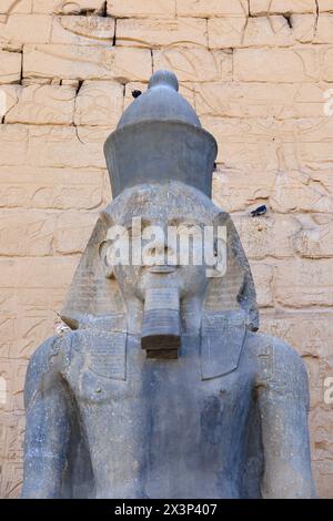 Statua di Ramsete II, Tempio di Luxor, Luxor, Egitto Foto Stock