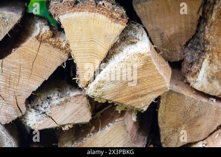 Le estremità di una pila di legna da ardere impilata. Presa a Washburn County, Wisconsin Foto Stock