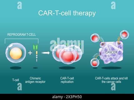 Terapia con cellule T DELL'AUTO. immunoterapia contro il cancro. uccisione di cellule tumorali. geneticamente modificato. Medicina personalizzata. Poster vettoriale. Illustrazione piatta isometrica Illustrazione Vettoriale