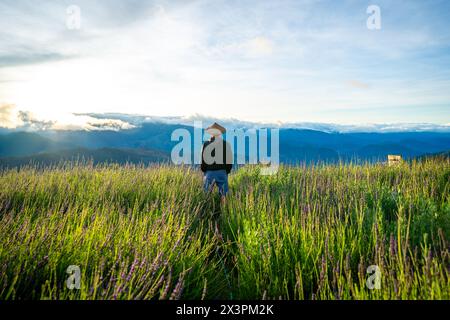 Panoramica della fattoria di fiori ad Atok, Benguet, nella provincia montana delle Filippine. Foto Stock