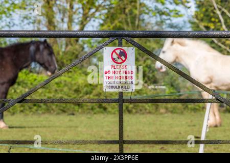 Non dare da mangiare ai cavalli che la tua gentilezza potrebbe uccidere segno, con due cavalli sullo sfondo, Suffolk, Regno Unito. Foto Stock