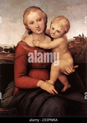 RAFFAELLO Sanzio (B. 1483, Urbino, d. 1520, Roma) Madonna col bambino (la piccola Madonna del Cowper) 1504-05 olio su legno, 58 x 43 cm Galleria Nazionale d'Arte, Washington questo dipinto, conosciuta come la piccola Madonna del Cowper perché era il più piccolo dei due dipinti della Madonna di Raffaello di proprietà del collezionista inglese Lord Cowper, fu dipinta quando l'artista aveva circa ventidue anni. Rivela non solo la forte influenza del suo maestro umbro, Perugino, ma anche quella dei suoi rivali fiorentini, Leonardo e Michelangelo. La piccola Cowper Madonna è una variante più analitica dell'omogeneo e risoluto Foto Stock