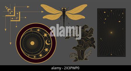 Set celeste mistico vettoriale a con contorno dorato funghi, mosca agarica, penny Bun, mezzaluna e fasi lunari. Etichette lineari lucide occulte nere con A. Illustrazione Vettoriale