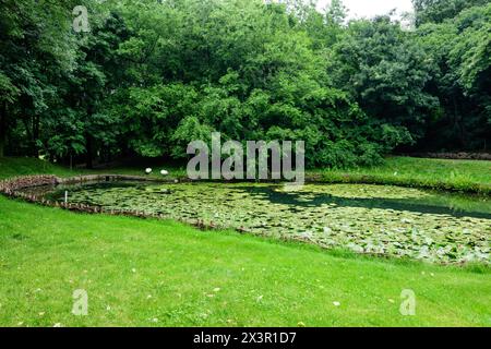 Paesaggio vivido nel giardino botanico Alexandru Buia da Craiova nella contea di Dolj, Romania, con lago, lillie d'acqua e grandi tres verdi in una splendida Foto Stock