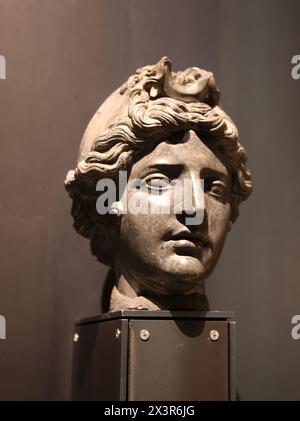 Amazon. Testa. Copia di un originale greco del 440-430 a.C. Metà del XVI secolo (capo). Foto Stock