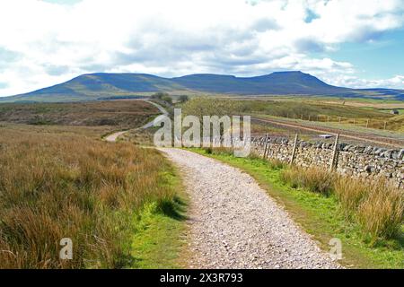 Vista di ingleborough dal sentiero fino alla cima del litorale Foto Stock