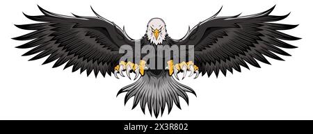 Aquila. Aquila calva. Simbolo nazionale degli Stati Uniti. Immagine vettore stock Illustrazione Vettoriale