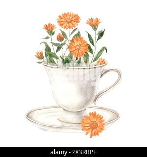 Composizione di tè ad acquerello con tazza vintage in ceramica e calendula. L'illustrazione è disegnata a mano, adatta per la progettazione di menu, confezioni, poster, sito Web, t Foto Stock