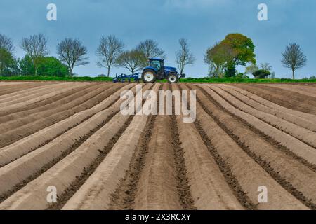 Il trattore sta eseguendo la perforazione in profondità, preparandosi per la piantagione di patate in primavera su terreni agricoli a Norfolk (Hickling) nell'Anglia orientale, Regno Unito. Foto Stock