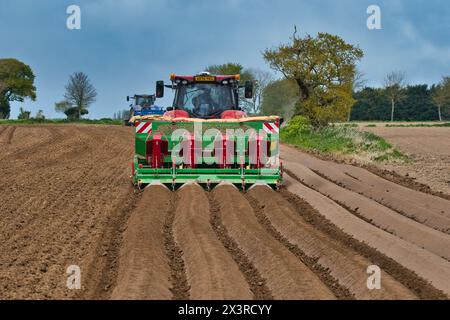 Il trattore sta eseguendo la perforazione in profondità, preparandosi per la piantagione di patate in primavera su terreni agricoli a Norfolk (Hickling) nell'Anglia orientale, Regno Unito. Foto Stock