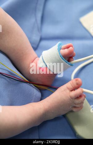 Neonatale, neonato unità di cura intensiva, Donostia Ospedale San Sebastian, Donostia, Gipuzkoa, Paesi Baschi Foto Stock