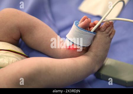 Neonatale, neonato unità di cura intensiva, Donostia Ospedale San Sebastian, Donostia, Gipuzkoa, Paesi Baschi Foto Stock