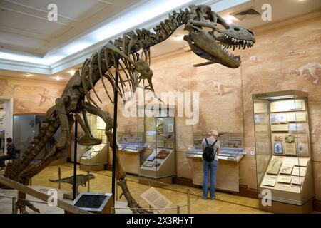 Scheletro del museo storico dei dinosauri a Kazan, Tatarstan, Russia. Ossa fossili di tyrannosaurus o T-rex, grandi estinte Foto Stock