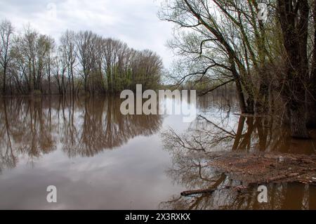 Le acque alte della regione di Samara hanno allagato le terre del fiume Tatiana nei sobborghi di Samara durante l'alluvione del 2024 regione di Samara Samara Russia Copyr Foto Stock