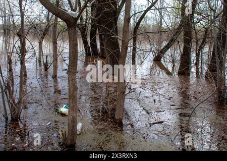 Le acque alte della regione di Samara hanno allagato le terre del fiume Tatiana nei sobborghi di Samara durante l'alluvione del 2024 regione di Samara Samara Russia Copyr Foto Stock