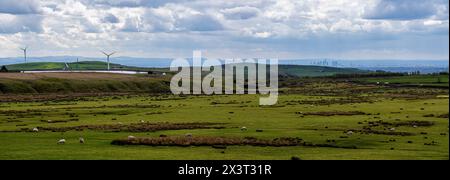 Immagine panoramica della campagna di Greater Manchester con campi verdi, stock vivi e turbine eoliche. Foto Stock